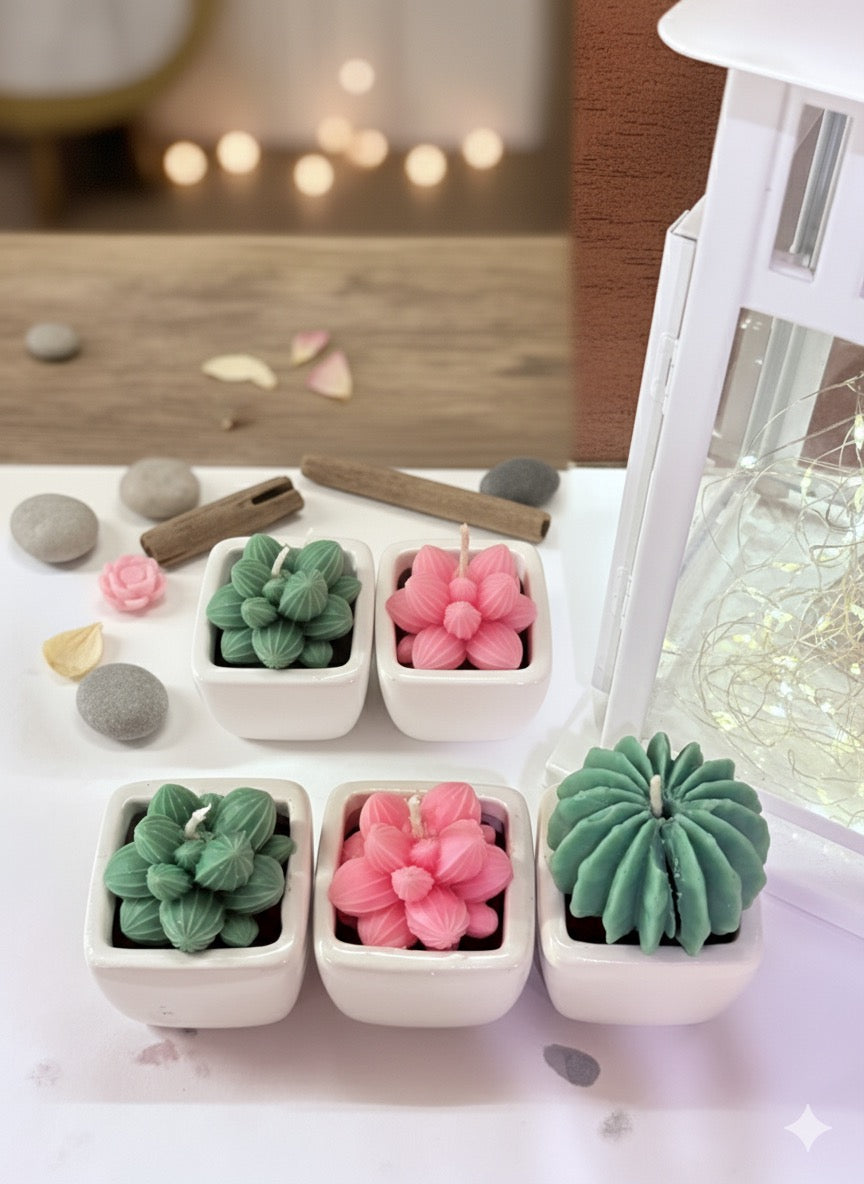 Botanic Bliss – Mini Succulent Candle Set